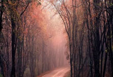 亚博体育官网：凯尔特人本赛季6场客场25+大胜 历史第3多 仅次于16马刺和22绿军.