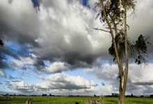 亚博体育官网：[网球]戴维斯杯世界Ⅱ组附加赛中国男网抢得先机.