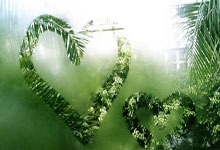 隆多因非法持枪持毒被捕 认罪后被判2天监禁.