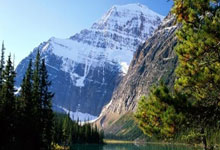 足球——英格兰联赛杯：纽卡斯尔联队夺冠.