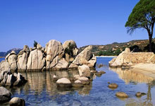 隆多因非法持枪持毒被捕 认罪后被判2天监禁.